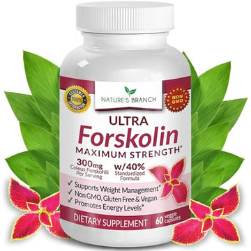 Premium 100% Ultra Pure Forskolin for Weight Loss Max Strength w/ 40% Standardized Nature's Branch uk supplements