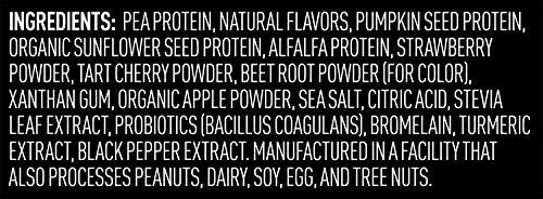 Vega Premium Sport Protein Berry Protein Powder, Vegan, Non GMO, Gluten Free Plant Vega uk supplements