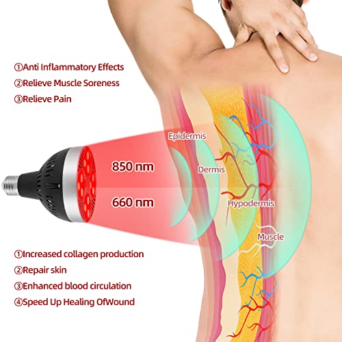 Red Light Therapy Lamp 24 LED Used for Red Light for Body and Face 660nm Red and 850nm Msupps.com uk supplements