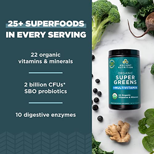 Ancient Nutrition Organic SuperGreens and Multivitamin Powder with Probiotics Ancient Nutrition uk supplements