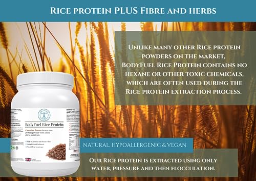 Complementary Supplements | BodyFuel Brown Rice Protein Powder Plus Chicory, Green Tea Complementary Supplements uk supplements