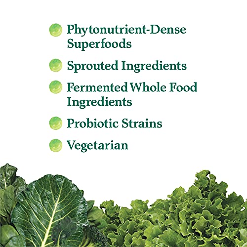 Garden of Life Perfect Food Super Green Formula - 14 Servings | 45 Superfoods, Greens Garden of Life uk supplements