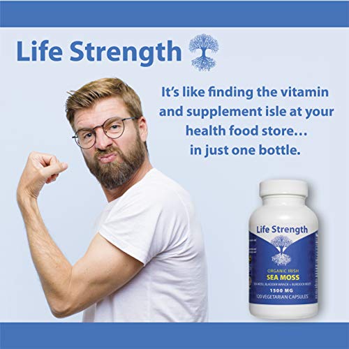 Life Strength Organic Sea Moss 120 CT Wildcrafted Irish Sea Moss and Bladderwrack Burdock Life Strength uk supplements