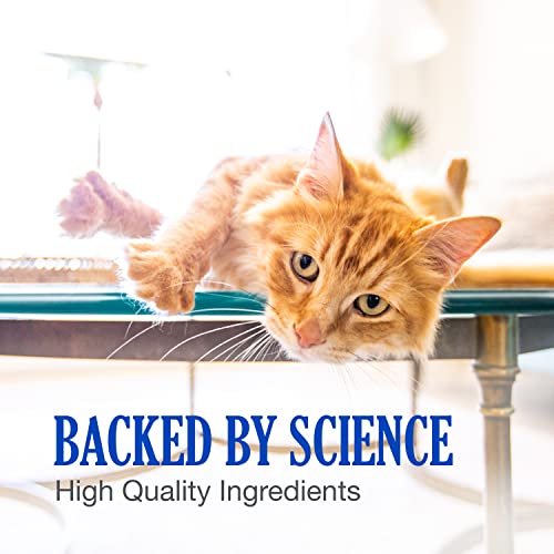 Nutramax Cobalequin B12 Supplement for Cats and Small Dogs, 45 Count (Pack of 1) Nutramax Laboratories uk supplements