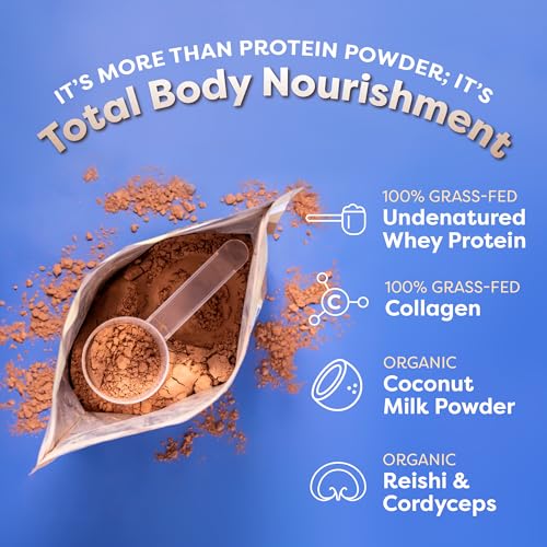 FlavCity Protein Powder Smoothie, Chocolate - 100% Grass-Fed Whey Protein Smoothie FlavCity uk supplements