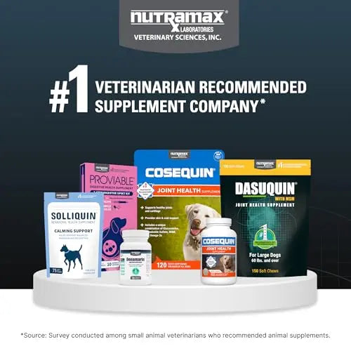 Nutramax Dasuquin for Large Dogs, Joint Health Supplement, Contains Glucosamine for Dogs, Plus Chondroitin, ASU, MSM and More, Supports Healthy Joints, Soft Chews, 150 Count Nutramax Laboratories uk supplements