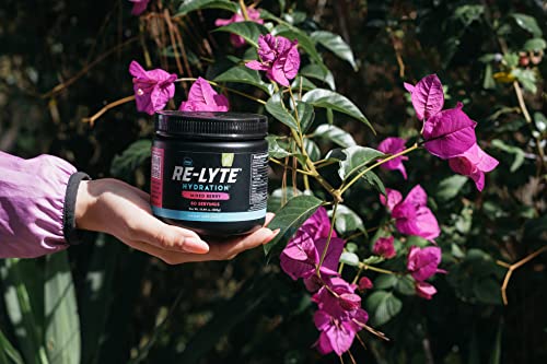 REDMOND Re-Lyte Hydration Electrolyte Mix (Mixed Berry) REDMOND uk supplements
