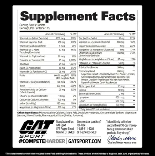 GAT SPORT Men's Multi + Test, Premium Multivitamin Tablets (150 Count) GAT SPORT uk supplements