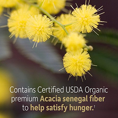Garden of Life Dr Formulated Organic Fiber Supplement Powder Unflavored, Sugar Free Garden of Life uk supplements