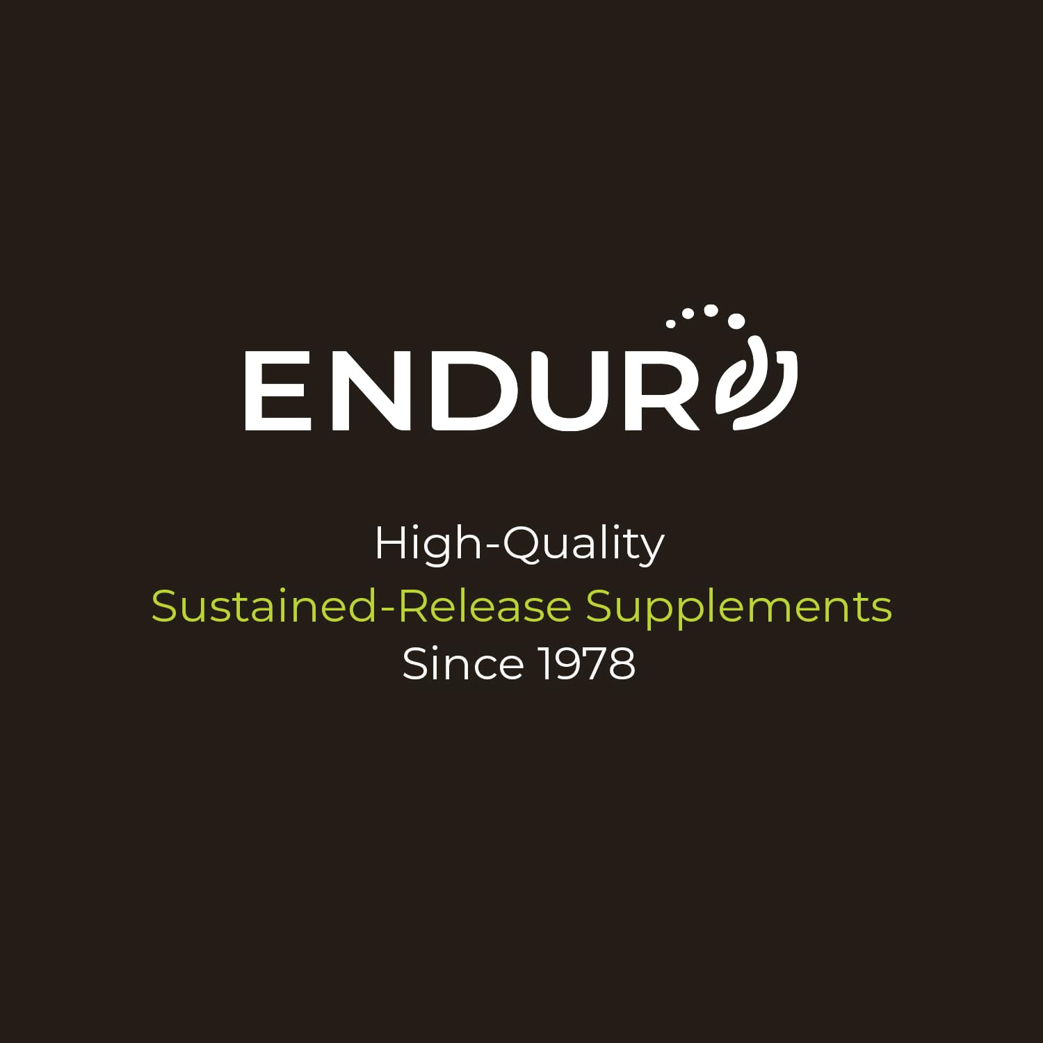 ENDUR-VM - Multivitamin Vitamin A, C, D, E, B12 & Zinc (Without Iron) SR (Sustained Release) 22 Essential Nutrients to Support Overall Wellness for Men & Postmenopausal Women - 150 Tablets Endurance Products uk supplements