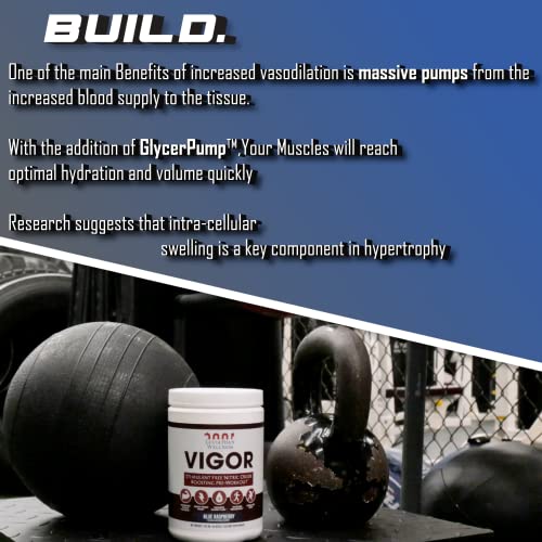 Leviathan Wellness Vigor - Stimulant Free, Nitric Oxide Boosting Pre-Workout Powder Leviathan Wellness uk supplements