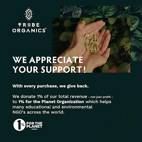 TRIBE ORGANICS Vegan Ashwagandha KSM 66 Pure Organic Root Powder Extract Ayurvedi TRIBE ORGANICS uk supplements