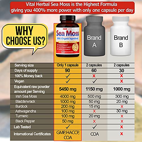 VITAL HERBAL Irish Sea Moss Capsules Equivalent to 5450mg - Maximum Potency VITAL HERBAL uk supplements