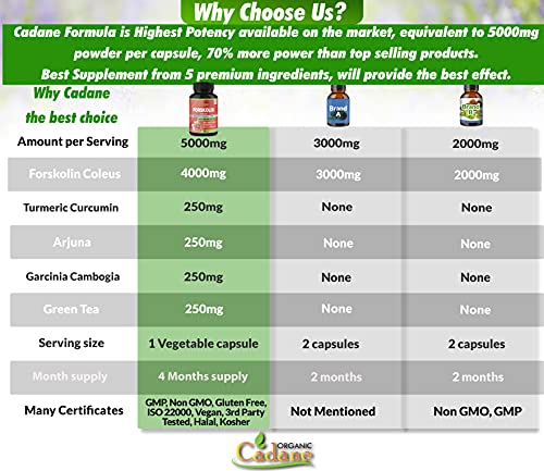 2 Packs Organic Forskolin Supplements Capsules 5000mg with Turmeric, Arjuna, Garcinia Cambogia Organic Cadane uk supplements