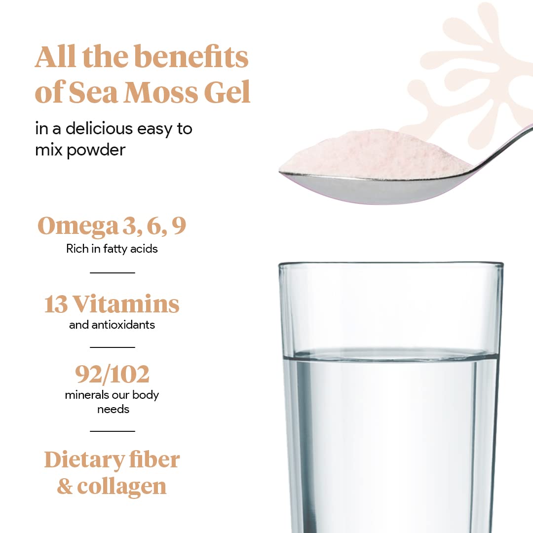 Organic Sea Moss Superfood Powder with Ashwagandha, Beet Root, and Maca Atlantic Naturals uk supplements