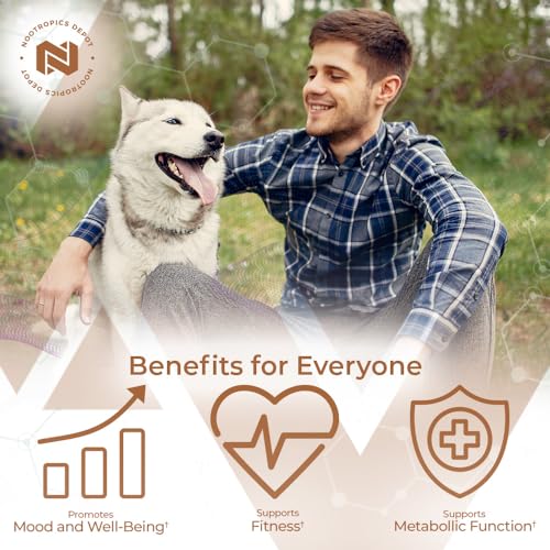 Nootropics Depot Fenugreek Extract Capsules | 500mg | 60 ct | 2.5% Trigonelline Nootropics Depot uk supplements