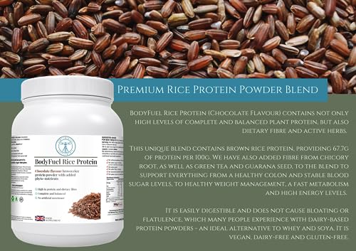 Complementary Supplements | BodyFuel Brown Rice Protein Powder Plus Chicory, Green Tea Complementary Supplements uk supplements