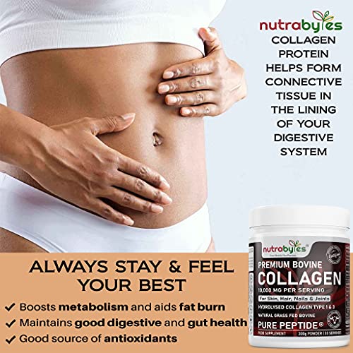Pure Hydrolysed Collagen Powder 10000mg Bovine Type 1 & 3 Unflavoured|High Strength Protein Peptides for Women & Men NUTRABYTES uk supplements