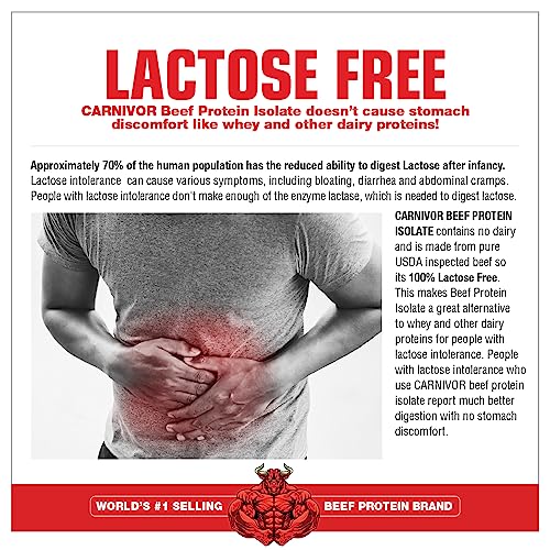 MuscleMeds, Carnivor Beef Protein Isolate Powder 56 Servings, Chocolate, 72 Ounce MuscleMeds uk supplements