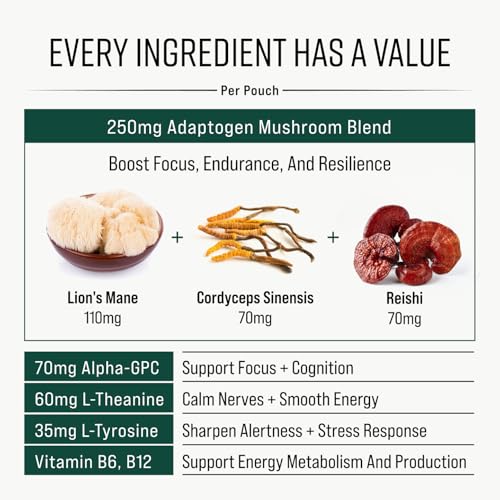 Adaptogen Mushroom Nootropic Pouches (4 Pack Bundle) - 250mg Mushroom Blend + 165mg Energy Blend, Nicotine Free & Caffeine Free, Ultra Pouch with Lion's Mane, Cordyceps, Reishi, Alpha-GPC, L-Theanine GGGJ uk supplements