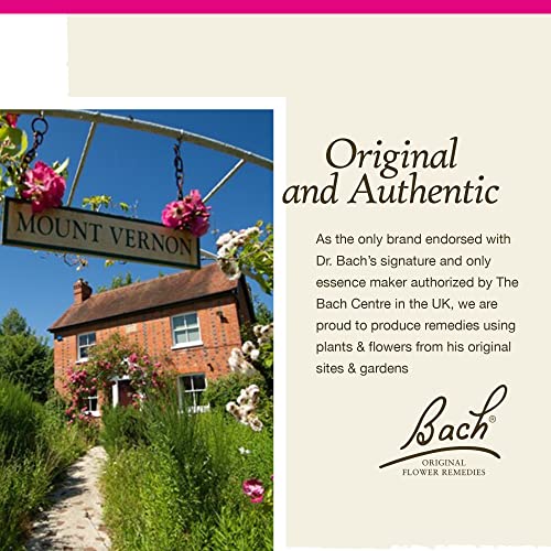 Bach Original Flower Remedies, Star of Bethlehem for Grief and Shock (Non-Alcohol Formula) Bach uk supplements