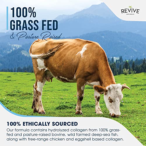 Multi Collagen Protein Capsules - Types I, II, III, V & X - Hydrolysed Grass Fed Bovine, Wild Caught Marine Revive Naturals uk supplements