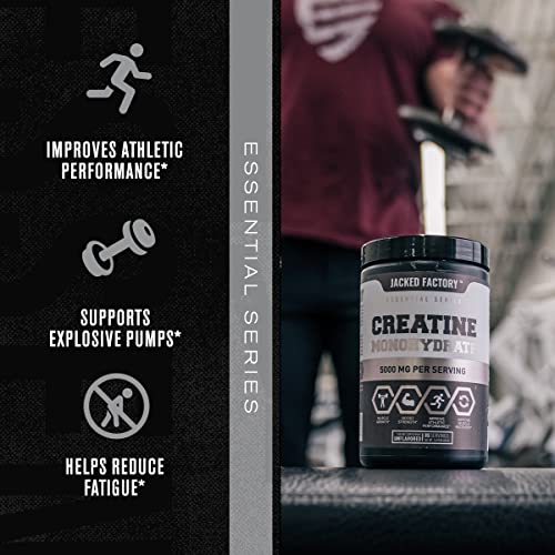 Nitrosurge Pre-Workout & Creatine Monohydrate - Pre Workout Powder With Creatine Jacked Factory uk supplements