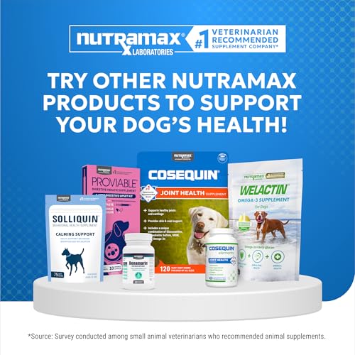 Nutramax Cosequin Elements Dog Joint Health Supplement with Glucosamine, Green Lipped Mussel, Omega-3s, Eggshell Membrane, Hyaluronic Acid, & Postbiotics, 75 Tasty Chewable Tablets for Dogs Nutramax Laboratories uk supplements