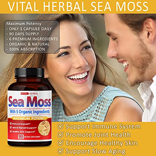 VITAL HERBAL Irish Sea Moss Capsules Equivalent to 5450mg - Maximum Potency VITAL HERBAL uk supplements