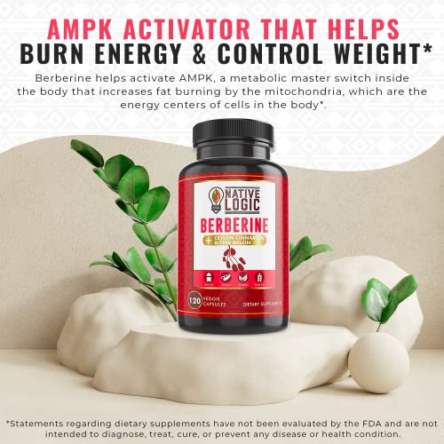 Native Logic Berberine HCL 1200mg with Ceylon Cinnamon, Bitter Melon, and Green Tea Native Logic uk supplements