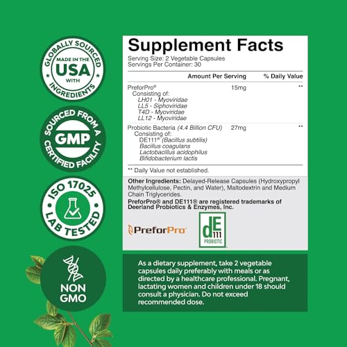Prebiotics and Probiotics Gut Health Supplement - Super Potent Digestive Health Acidophil Natures Craft uk supplements