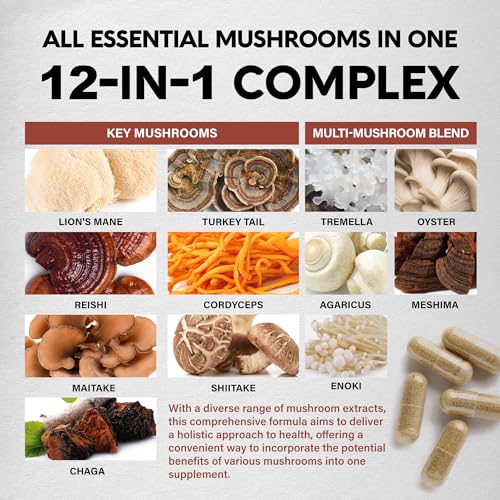 Mushroom Supplement - Organic Lion's Mane | Turkey Tail | Chaga | Cordyceps | Reishi NUTRAHARMONY uk supplements