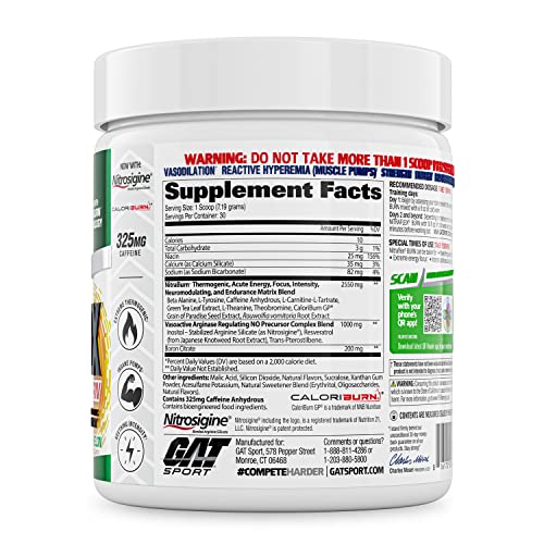 GAT SPORT NITRAFLEX Burn, Pre Workout Thermogenic Powder, Apple Melon, 30 Servings GAT SPORT uk supplements