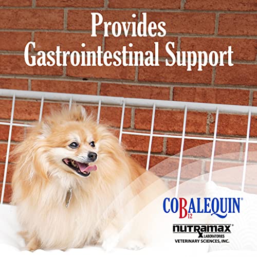 Nutramax Cobalequin B12 Supplement for Cats and Small Dogs, 45 Count (Pack of 1) Nutramax Laboratories uk supplements