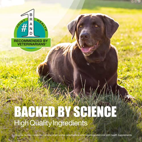 Nutramax Laboratories Dasuquin with MSM Joint Health Supplement for Large Dogs Nutramax Laboratories uk supplements