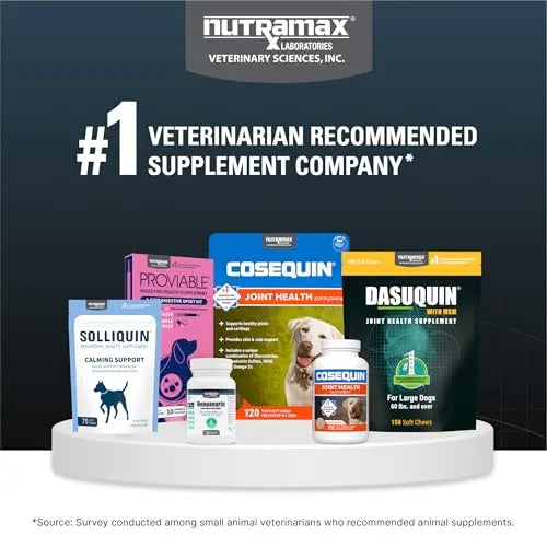 Nutramax Dasuquin for Large Dogs, Joint Health Supplement, Contains Glucosamine for Dogs, Plus Chondroitin, ASU and More, Supports Healthy Joints, Chewable Tablets, 150 Count Nutramax Laboratories uk supplements