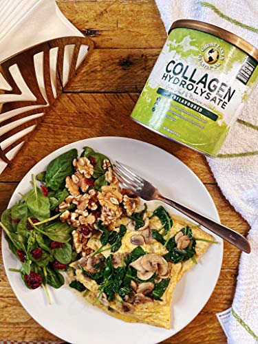 Great Lakes Gelatin Collagen Hydrolysate, Grass-Fed Bovine Hydrolysed Collagen Peptides Protein Powder Supplement, Unflavoured, 226g, Can Great Lakes Gelatin uk supplements