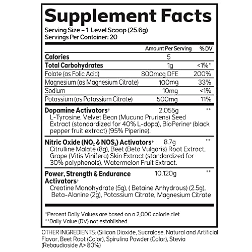 Advanced Molecular Labs - Pre Workout Powder, Increases Drive, Performance Enhancer AML ADVANCED MOLECULAR LABS uk supplements