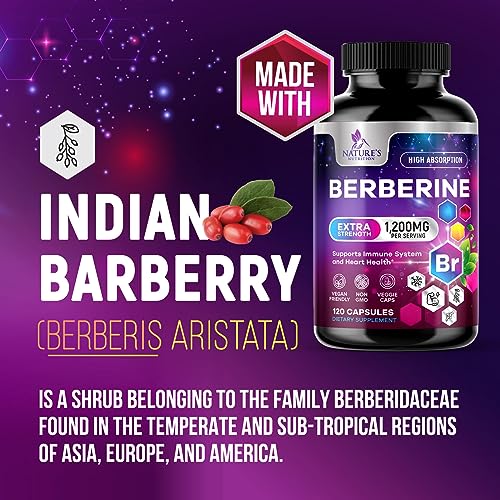 Berberine Supplement 1200mg per Serving - High Absorption Heart Health Support Nature's Nutrition uk supplements
