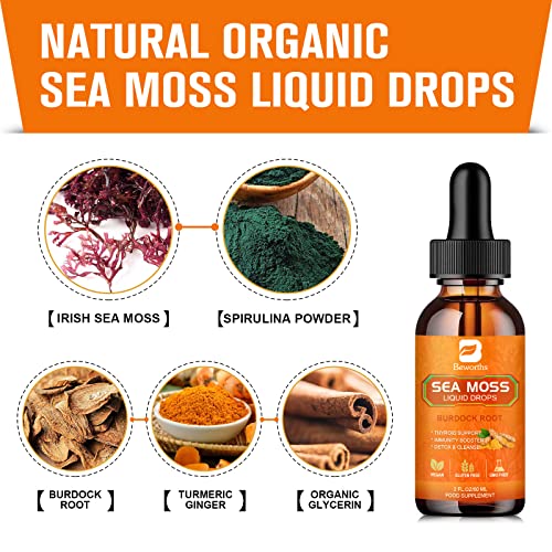 B BEWORTHS Sea Moss Liquid Drops - Organic Irish Sea Moss Raw Gel with Burdock Root B BEWORTHS uk supplements