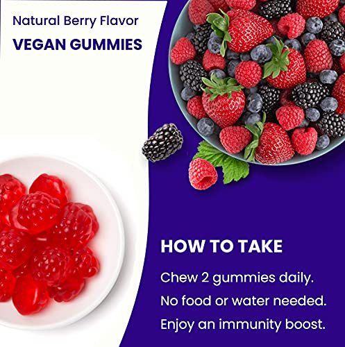 NutraChamps Elderberry Gummies with Vitamin C, Propolis & Echinacea NutraChamps uk supplements