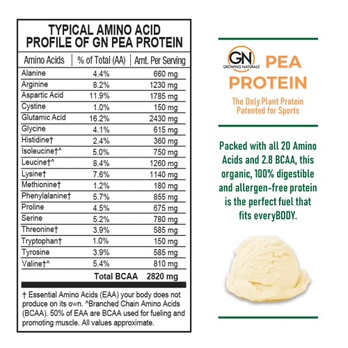 Growing Naturals | Vanilla Raw Pea Powder 15g Plant Protein | 2.8G BCAA, Low-Carb Growing Naturals uk supplements