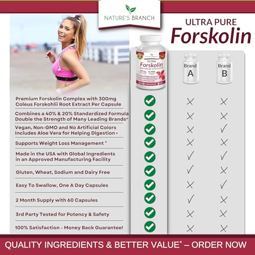 Premium 100% Ultra Pure Forskolin for Weight Loss Max Strength w/ 40% Standardized Nature's Branch uk supplements