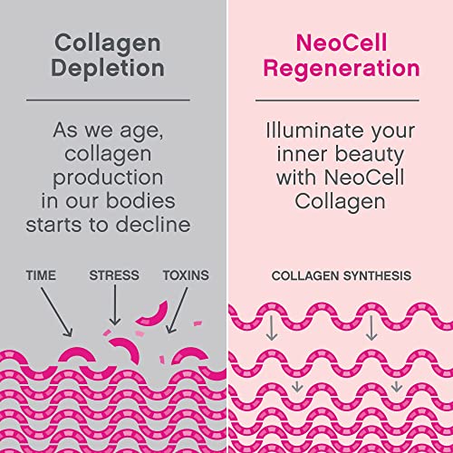 NeoCell Super Collagen Powder, 10g Collagen Peptides per Serving, Gluten Free NeoCell uk supplements