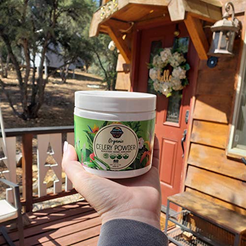 Organic Celery Juice Powder (40 Servings) Supports Gut Health, Detox Juice Cleanse Paradise Naturals, Purest Ingredients from the Source uk supplements