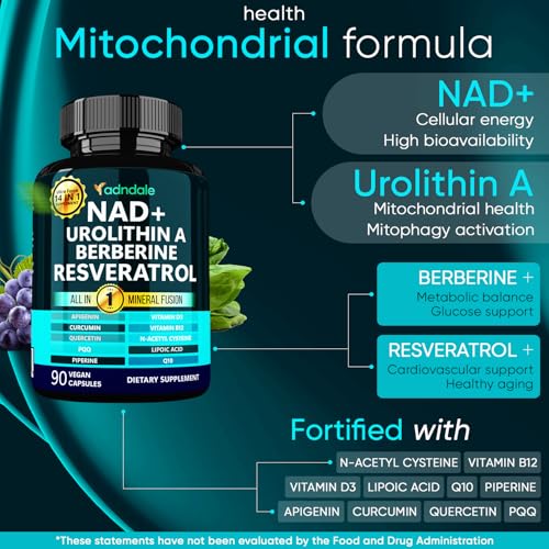 Adndale NAD Supplement. Longevity Formula with Liposomal NAD+, Trans Resveratrol, Urolithin-A, Berberine, CoQ10. NMN Supplement Alternative. 90 Count Adndale uk supplements