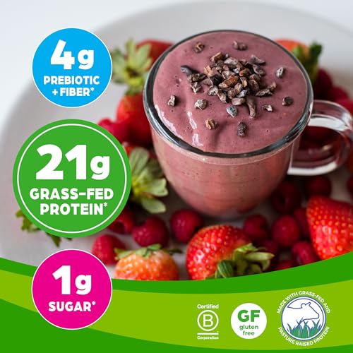 Orgain Whey Protein Powder, Creamy Chocolate Fudge - 21g Grass Fed Dairy Protein Orgain uk supplements
