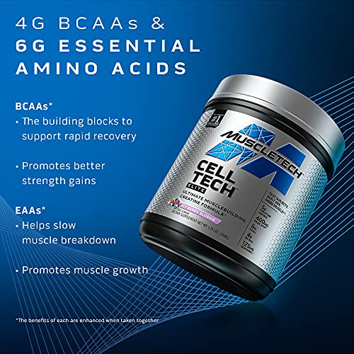 Creatine Powder | MuscleTech Cell-Tech Elite Creatine Powder | Post Workout Recovery MuscleTech uk supplements