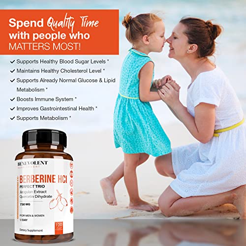 Premium Berberine HCL 730mg - 120 VCAPS Perfect Trio Complex with Non-GMO Jiaogulan Benevolent Nourishment uk supplements
