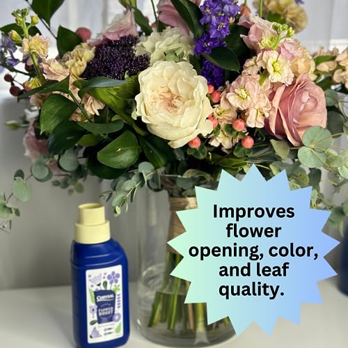Chrysal Cut Flower Universal Food (10 ml/L Bottle) — Increase The Flower Boost with Floral Supplies Chrysal uk supplements